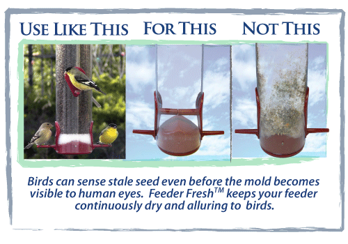 Use like this, for this, not like this. Birds can sense stale seed even before the mold becomes visible to human eyes. Feeder Fresh keeps your feeder continuously dry and alluring to birds.